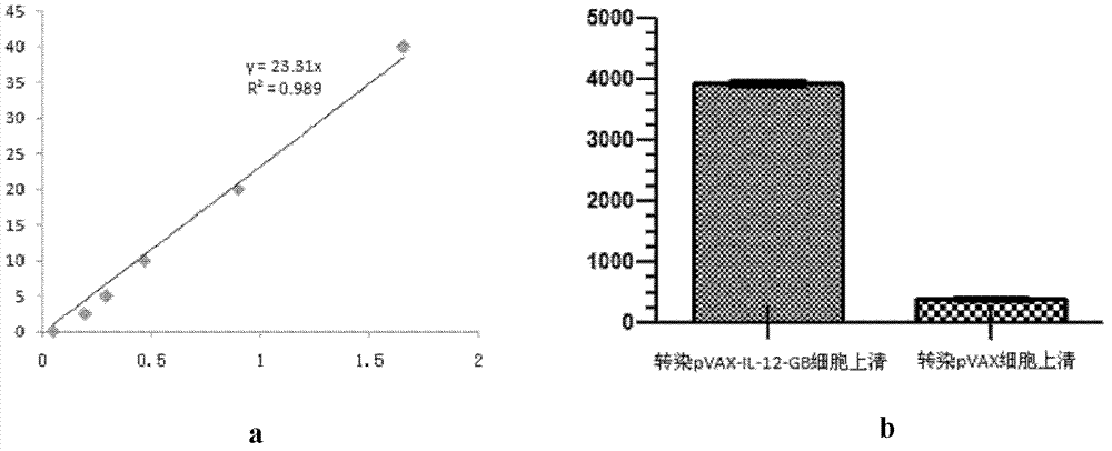 Recombinant expression plasmid and application thereof in preparing anti-tumor immunogene therapeutic medicament