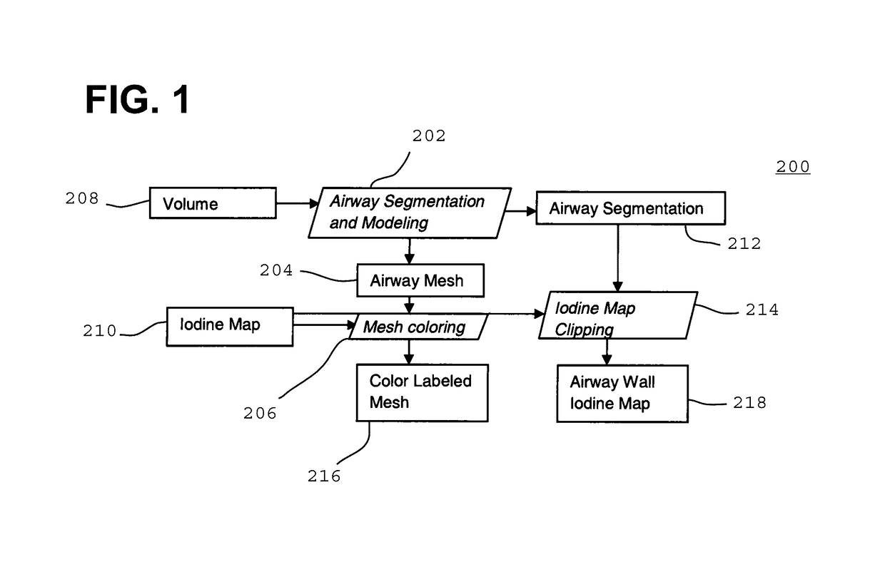 Visualization of dual energy computed tomography airways data