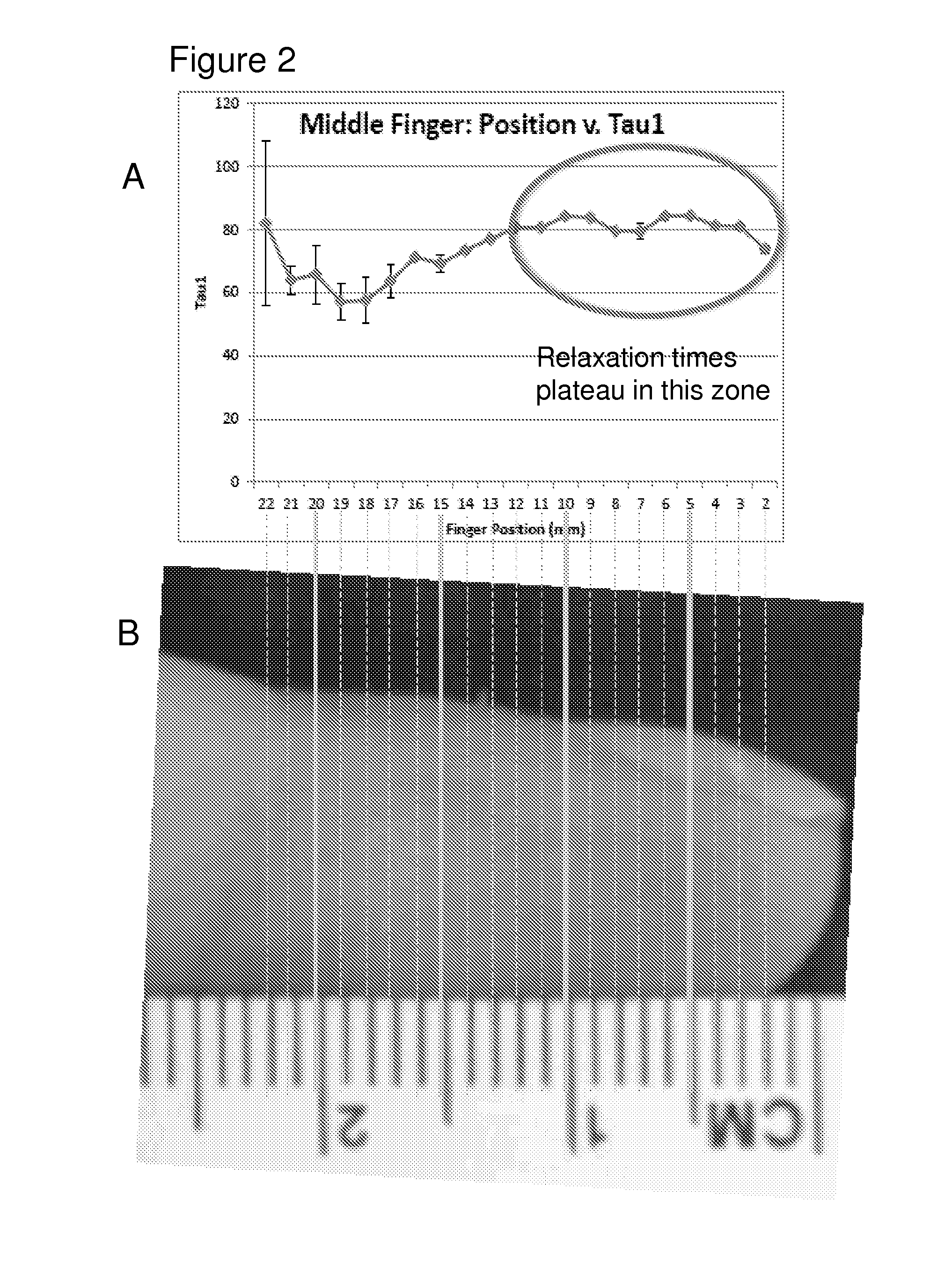 Nmr sensor and methods for rapid, non-invasive determination of hydration state or vascular volume of a subject