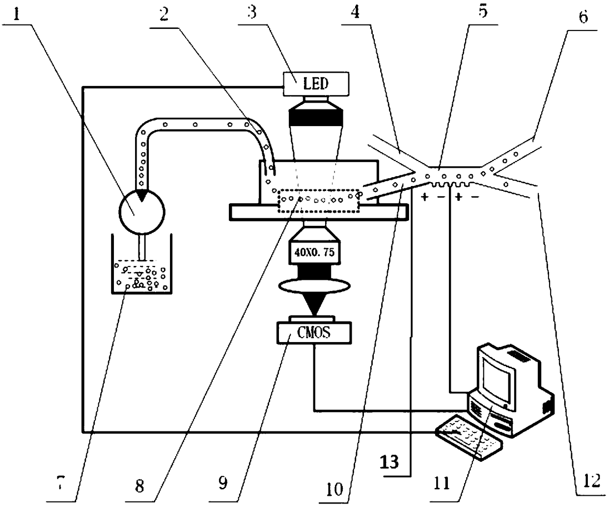 A cancer cell separation device based on cell deformation quantity and dielectrophoresis force and a control system