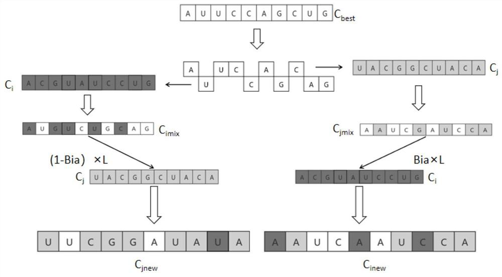 Greenhouse temperature pid control method based on RNA cross-operated symbiotic algorithm