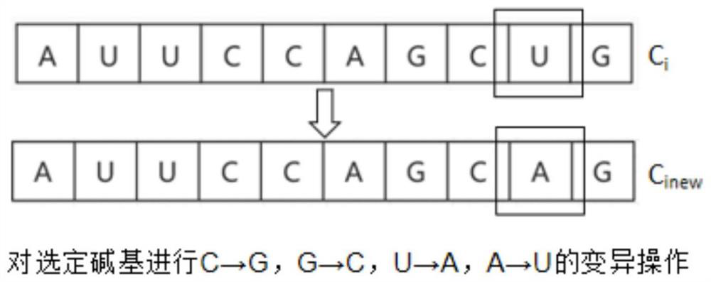 Greenhouse temperature pid control method based on RNA cross-operated symbiotic algorithm