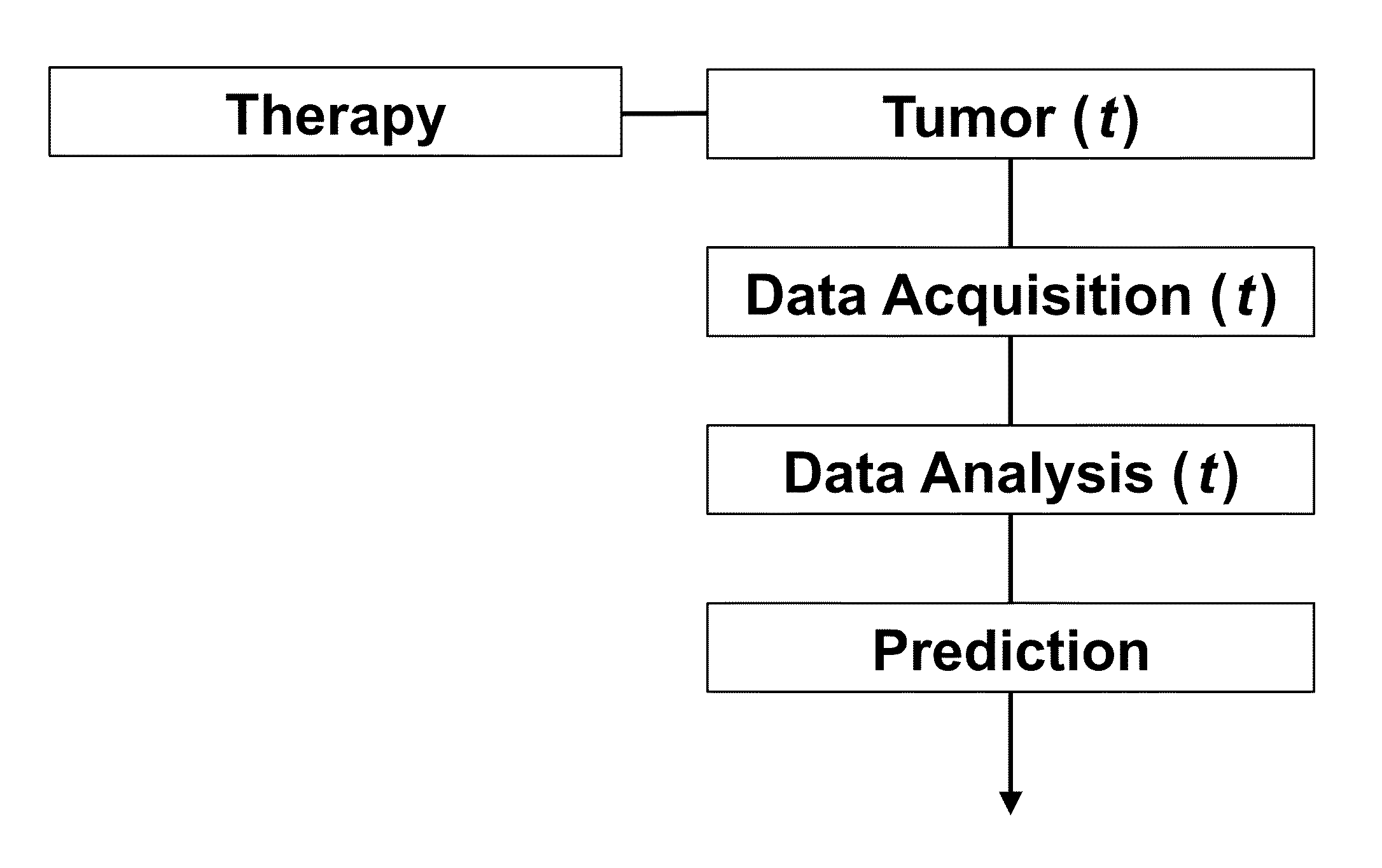 Tumor Response Prediction to Therapy