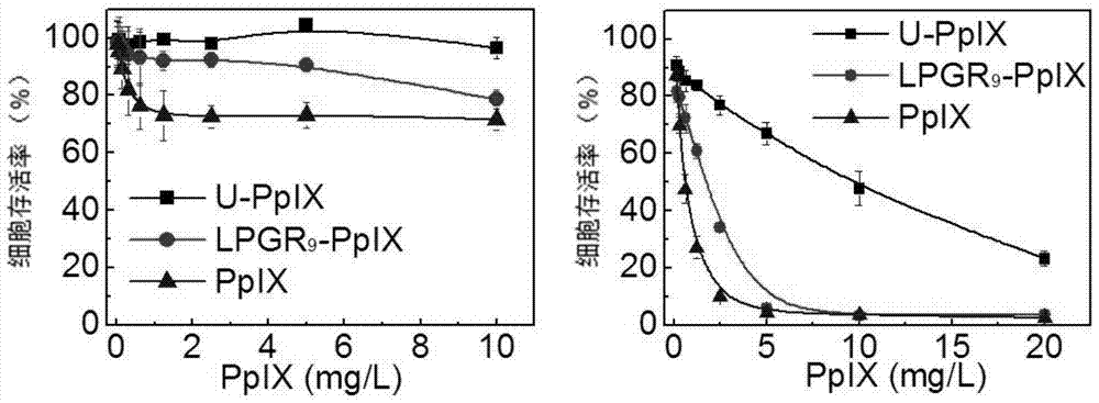 A tumor-targeting polypeptide photosensitizer bond