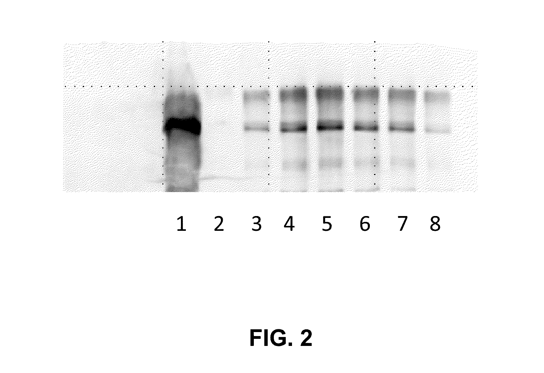 Composition and method for modulating inflammatory molecules with amylase