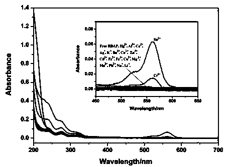 Application of rhodamine B based fluorescence sensor