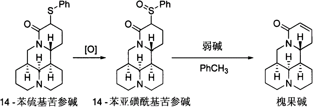 Method for synthesizing sophocarpine