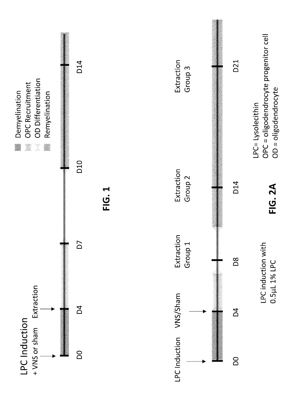 Vagus nerve stimulation to treat neurodegenerative disorders