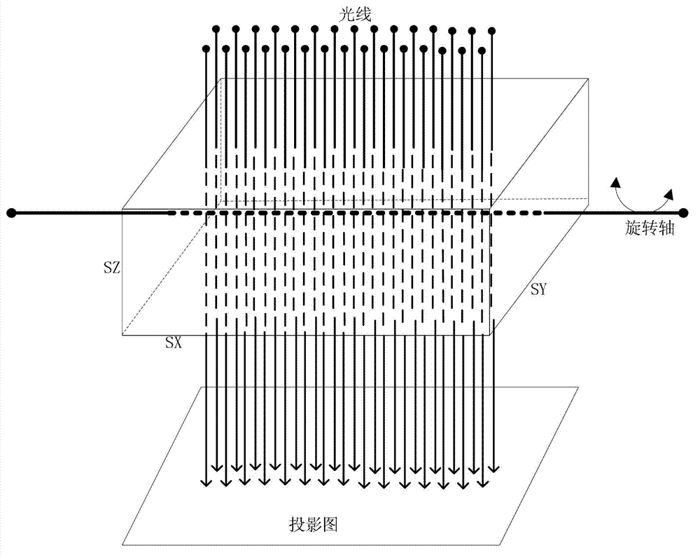 Method and system for reconstructing three-dimensional image of electronic speculum