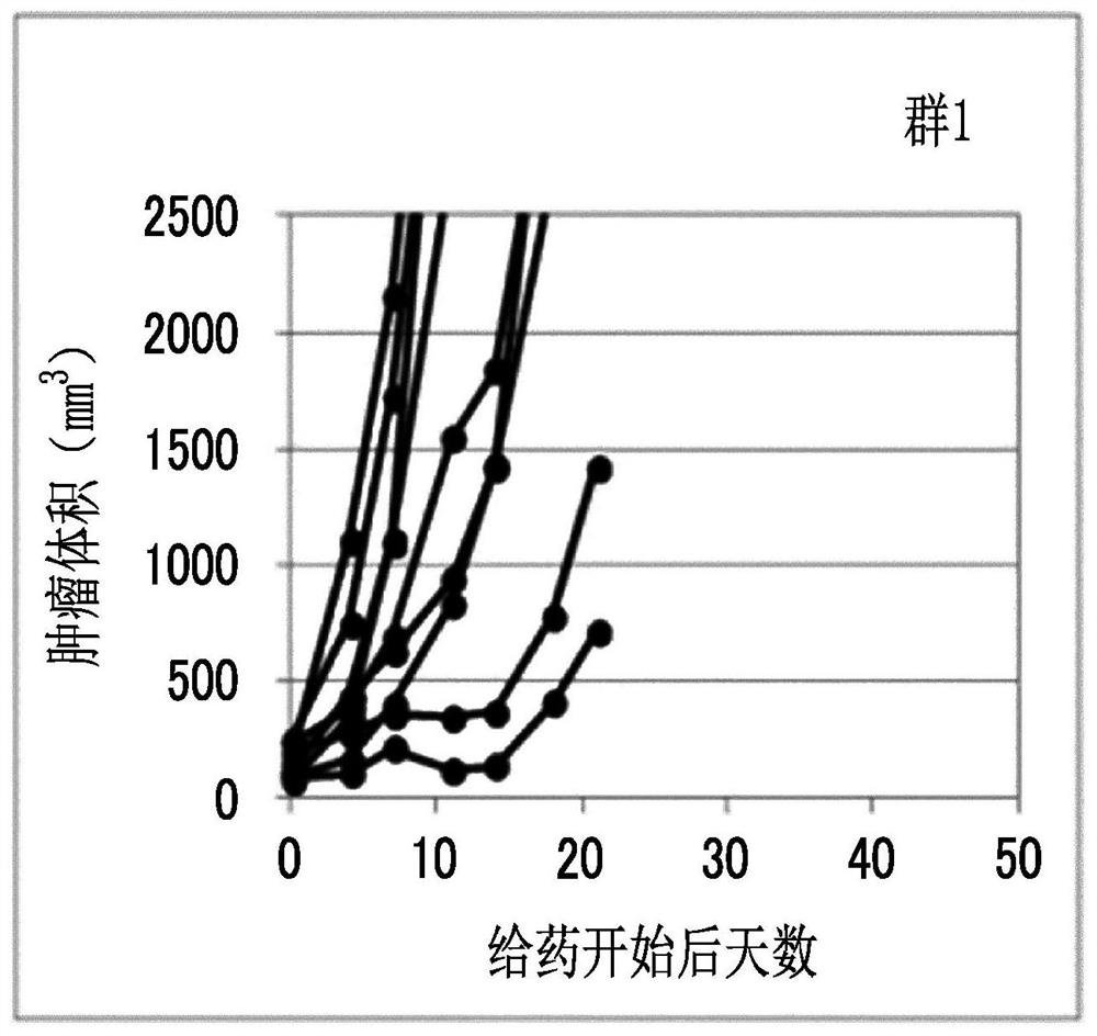 Combination medication containing liposome composition encapsulating drug and immune checkpoint inhibitor