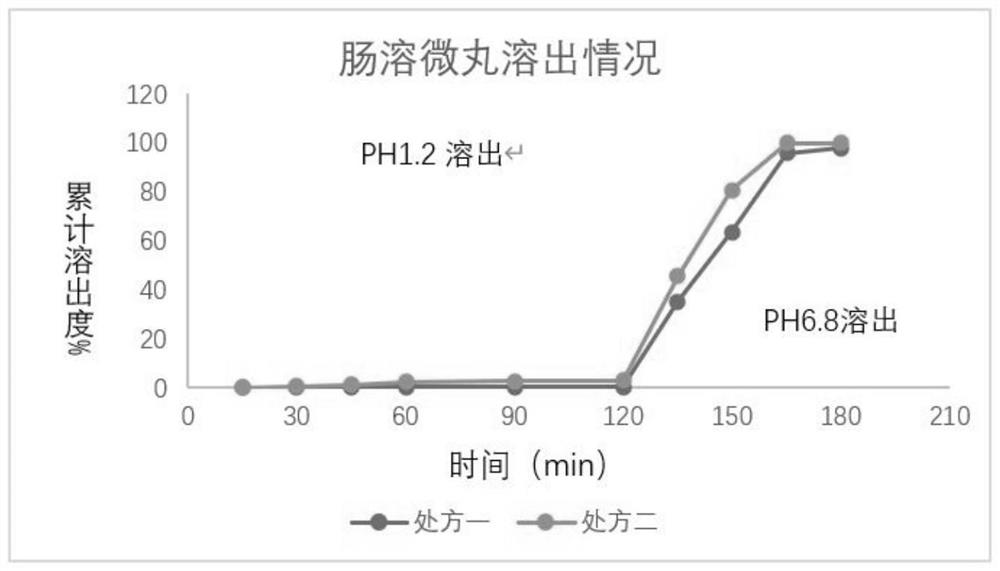 Enteric-coated pellet and powder directly-pressed tablet of polysaccharide-iron compound