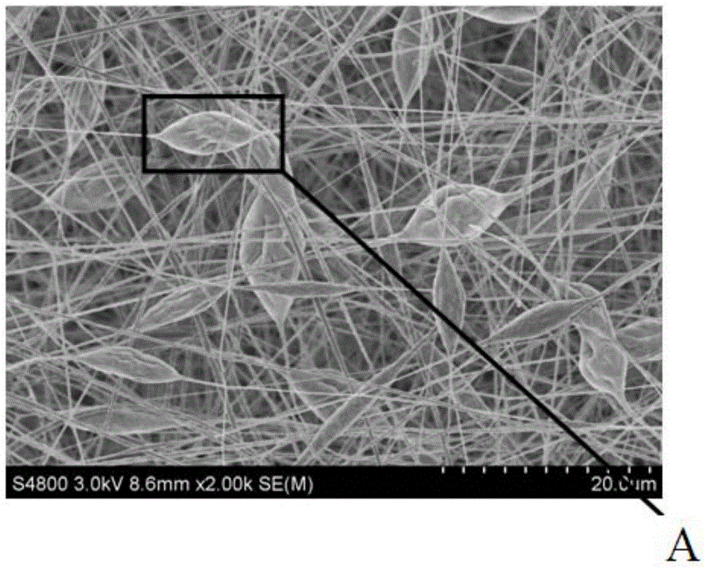 Bead-like porous PLA (Poly Lactic Acid) nano fiber as well as preparation method and application thereof
