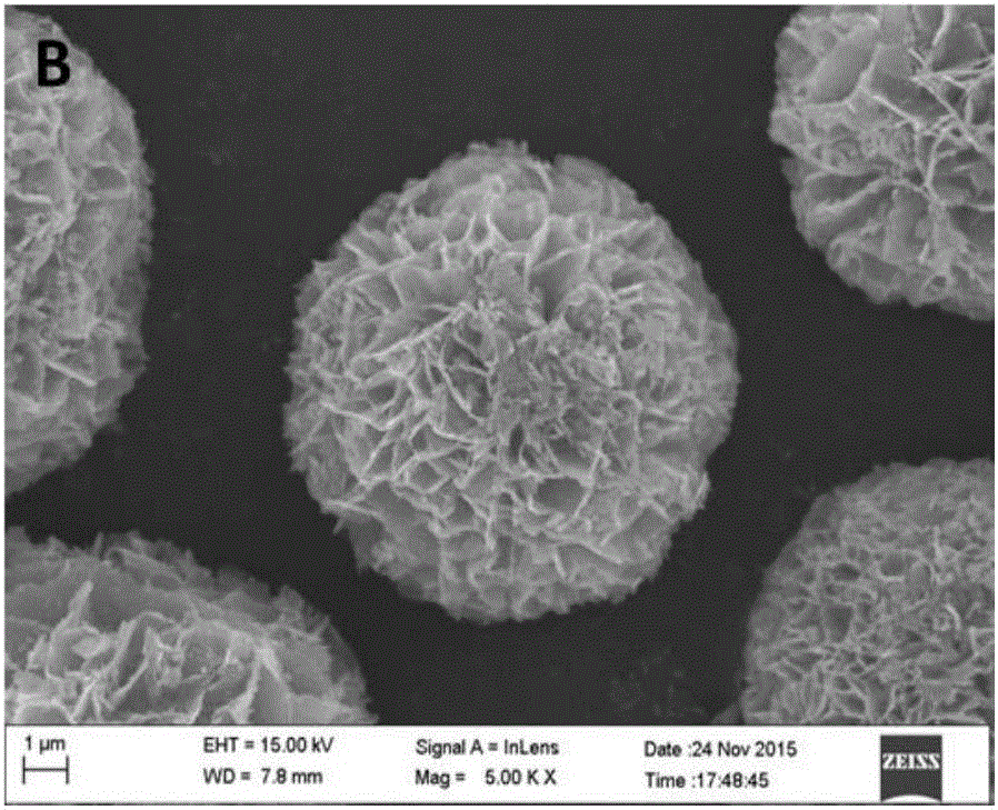 Vanadium trioxide micro-nano particle and preparation method thereof
