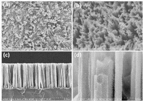 Anode material of silicon-graphene battery and preparation method thereof, and lithium battery