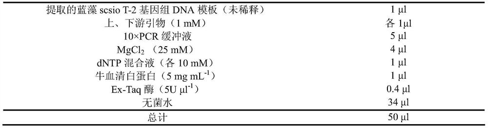 A Leptinia scsio T-2 and its application