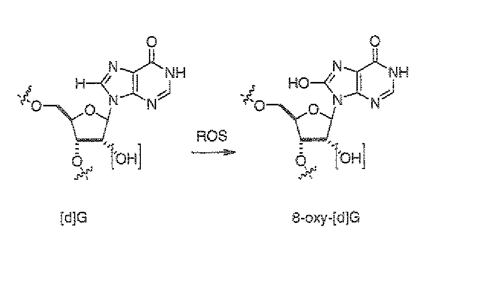 Isotopically modified compounds and their use as food supplements