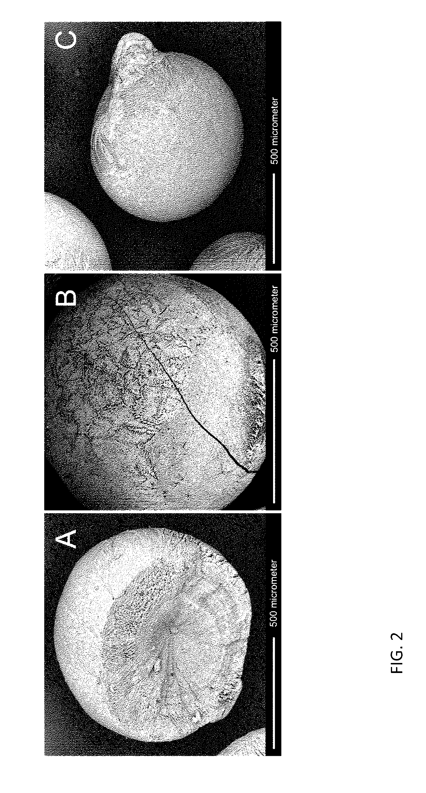 Material for rapid gas sorption in loudspeakers