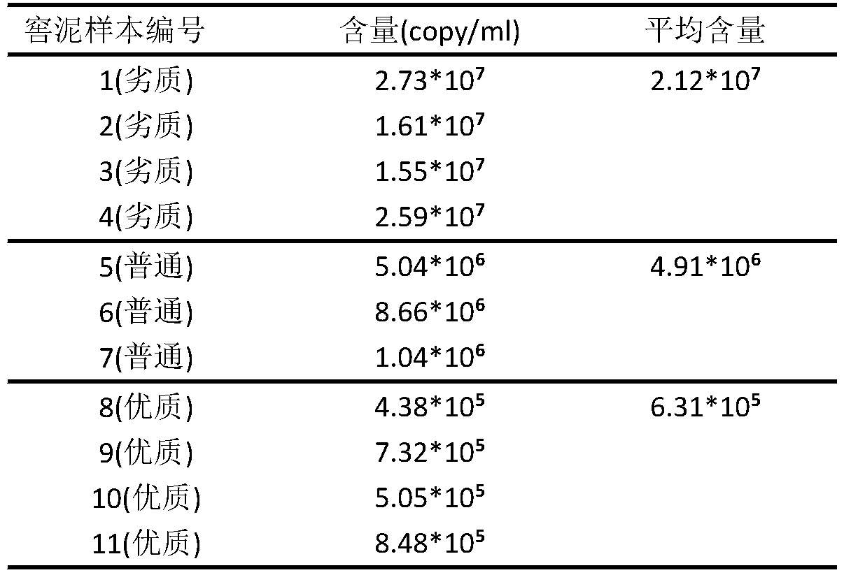 Two pairs of specific primers for detecting acid-resistant lactobacillus content during Baijiu fermentation and application thereof