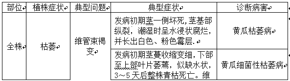 An internet vegetable disease self-service diagnosis method and system based on melon vegetable disease typical characteristics