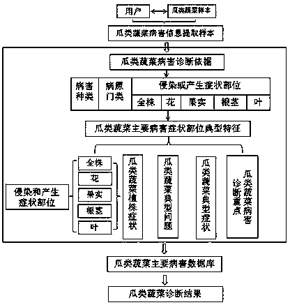 An internet vegetable disease self-service diagnosis method and system based on melon vegetable disease typical characteristics