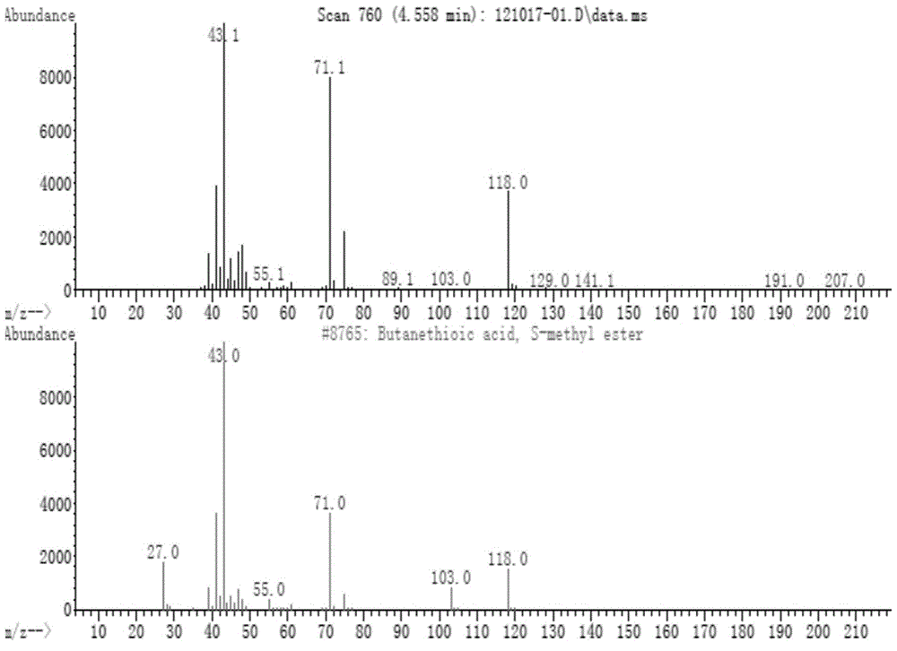 Volatile compound methyl thiobutyrate and application thereof