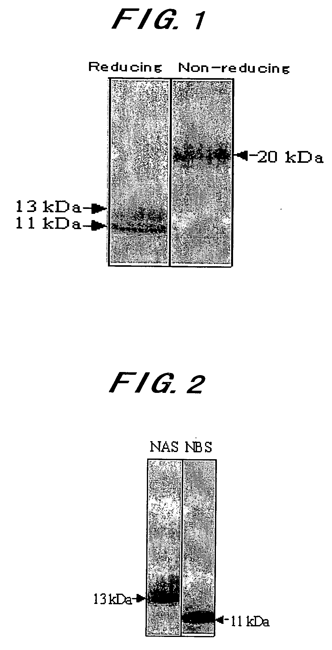 Novel Taste-Modifying Polypeptide Nas, Dna Thereof and Use Thereof