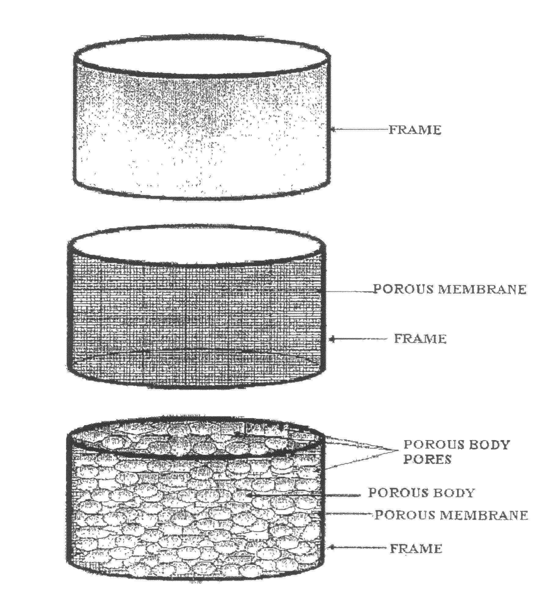 Porous scaffold, method of producing the same and method of using the porous scaffold