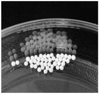 Preparation method of cellulose aerogels ball with controllable diameters