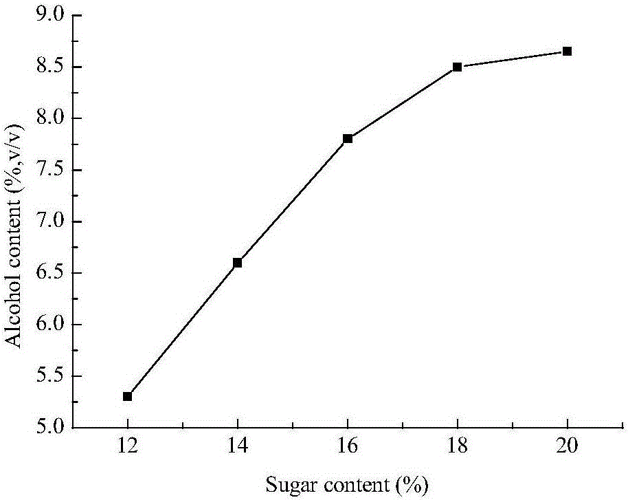 Preparation process for sugarcane fruit wine