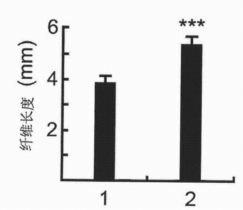 UDP-glucuronosyltransferase isomerase, coding gene thereof and use thereof