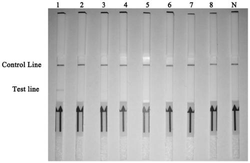 Novel target Phibe_s00003g00002.1 for specifically detecting phytophthora hibernalis and application of target