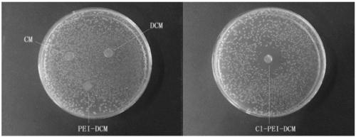 Polyethyleneimine based chloramines type antibacterial cellulose membrane, preparation method and application