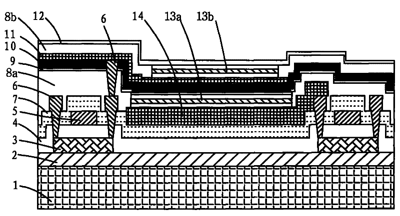 A double-sided oled display