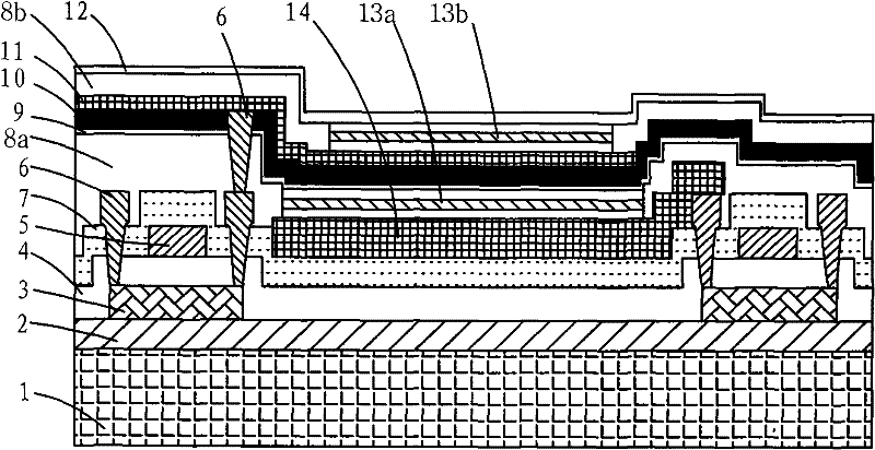 A double-sided oled display