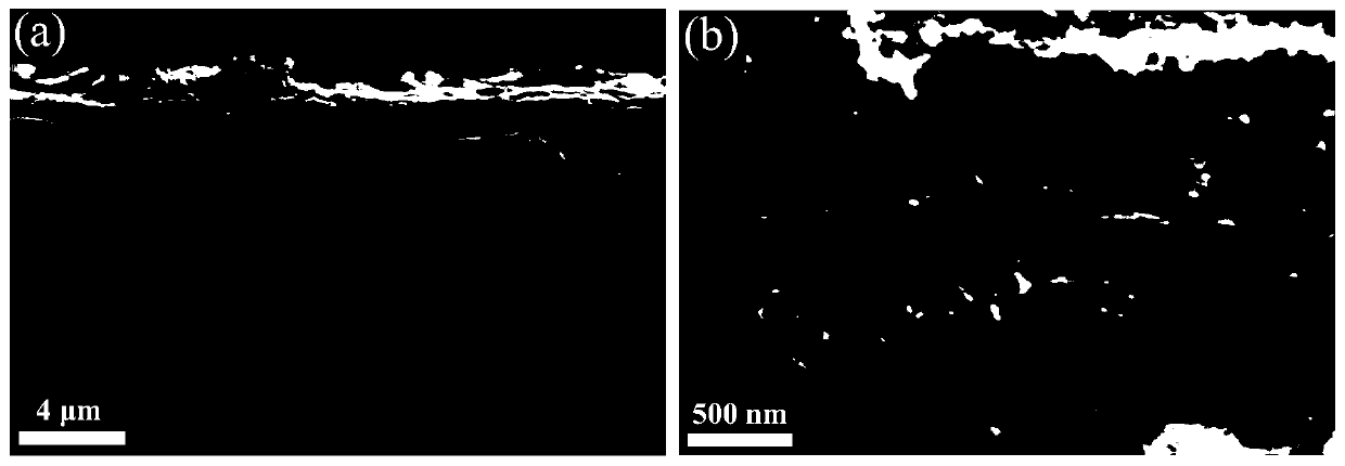 Preparation method and application of porous graphene-based composite film material
