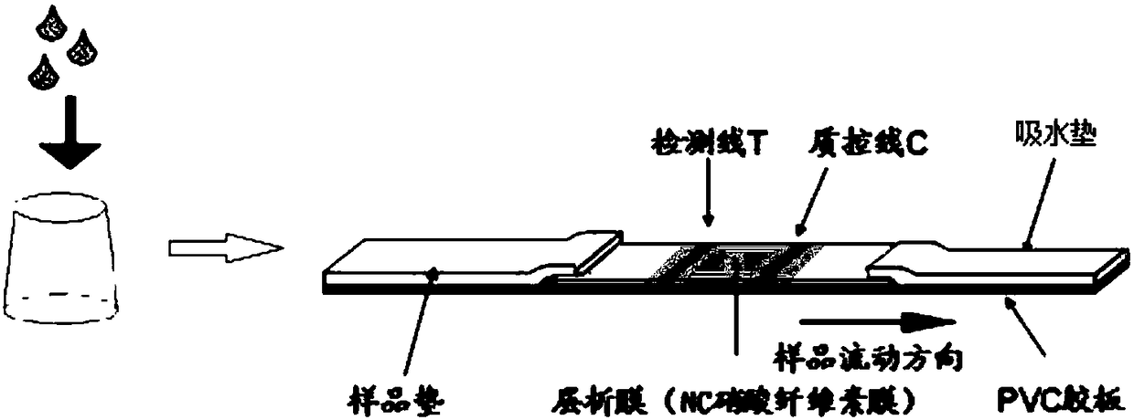 Fluorometric analysis method and device