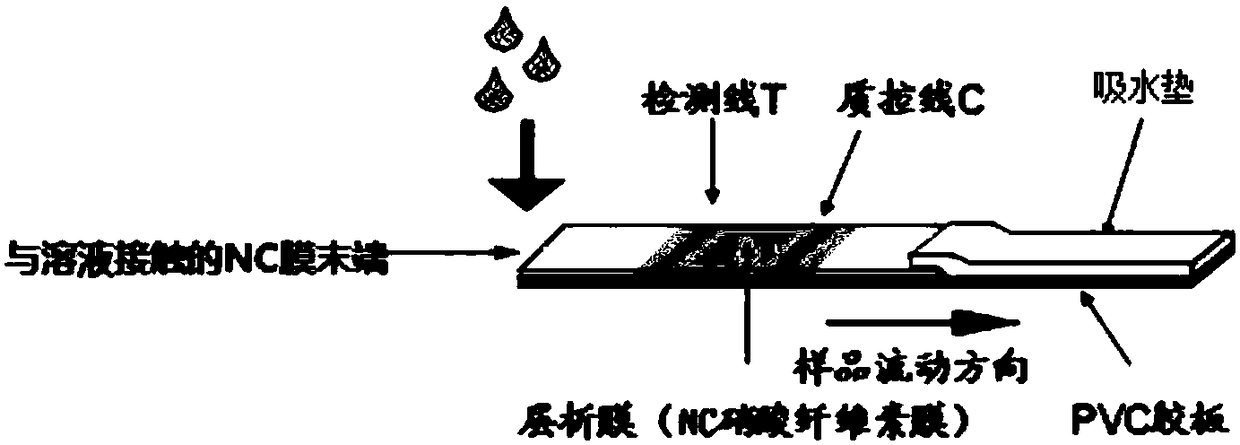 Fluorometric analysis method and device