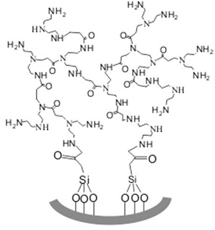 Hyperbranched polymer functionalized mesoporous material and application thereof