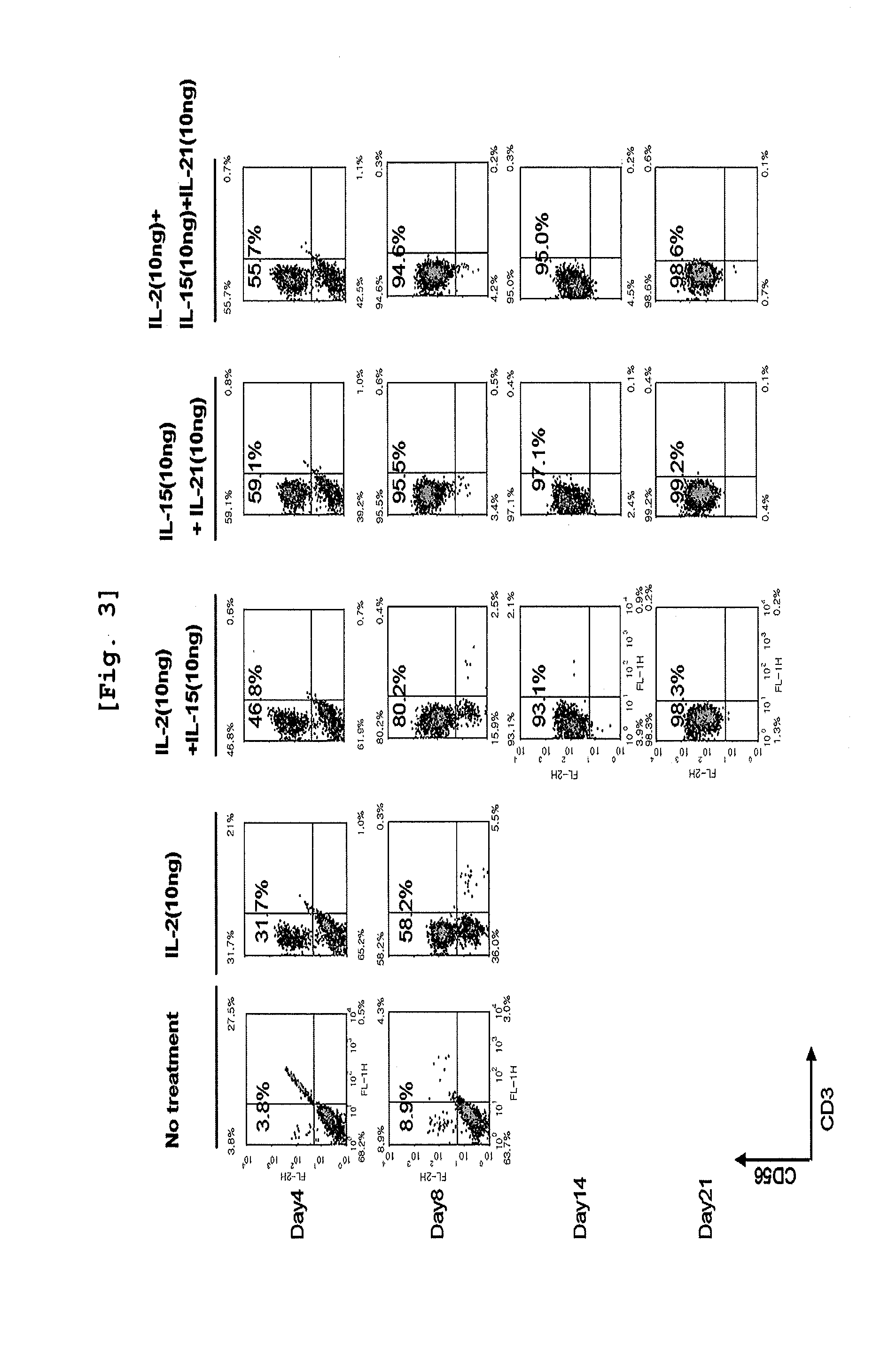 Method for Efficiently Proliferating and Differentiating Natural Killer Cells from Umbilical Cord Blood