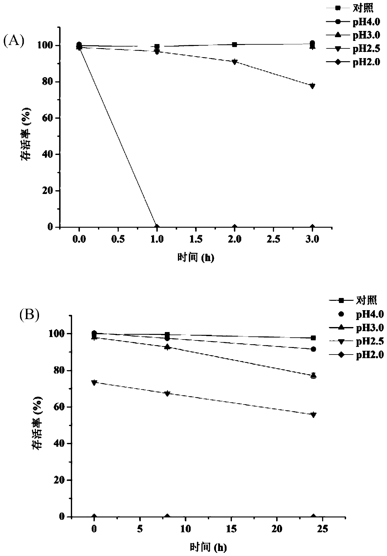 Lactobacillus plantarum zjuf T17 and its application