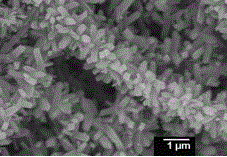 Firecracker-shaped titanium dioxide/polyimide nano hybrid fiber preparation method