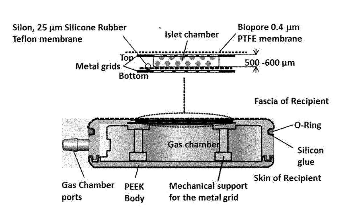 Systems and methods for providing oxygen to transplanted cells