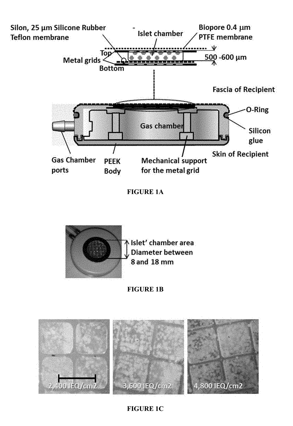 Systems and methods for providing oxygen to transplanted cells