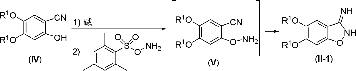 Exocyclic imine compound containing benzo five-membered heterocycle, preparation method and application of exocyclic imine compound