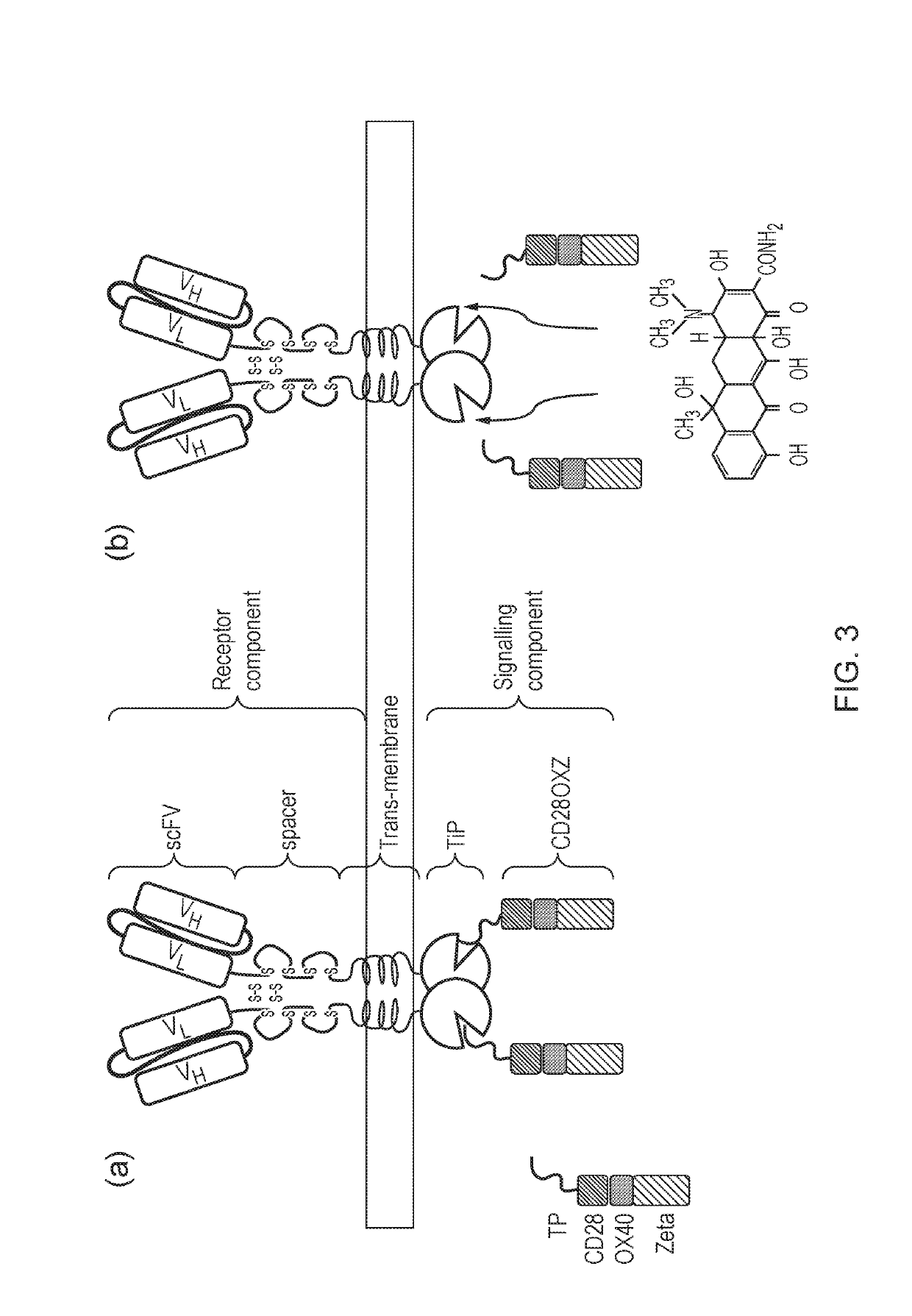 Signalling System