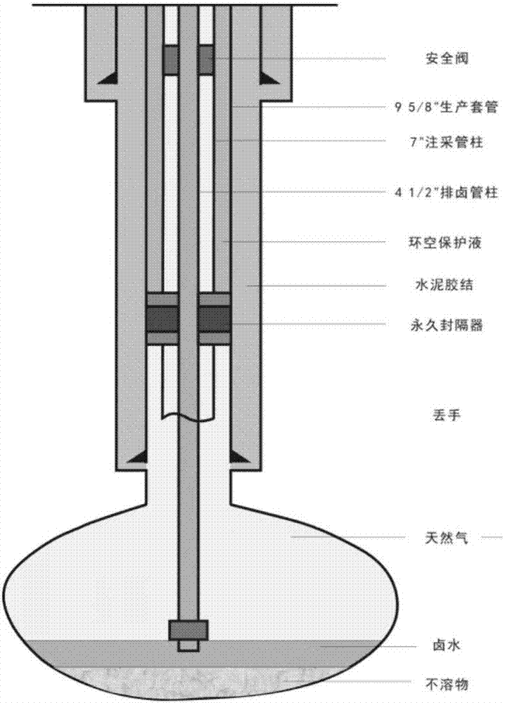 Coiled tubing tubular column device and brine discharging and capacity expanding method thereof for salt cavern underground gas storage reservoir