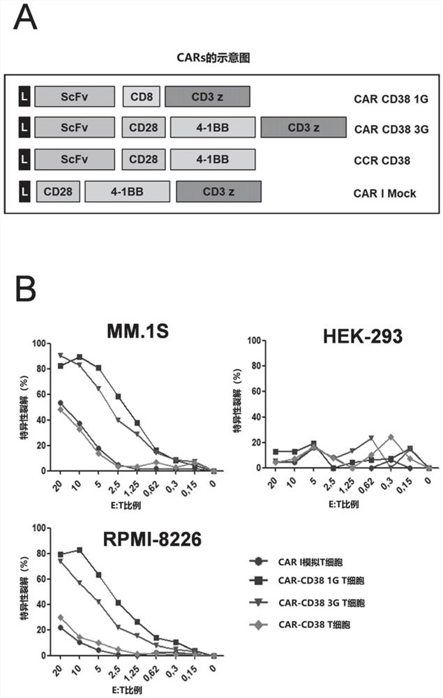 Antibodies specific for cd38 and uses thereof