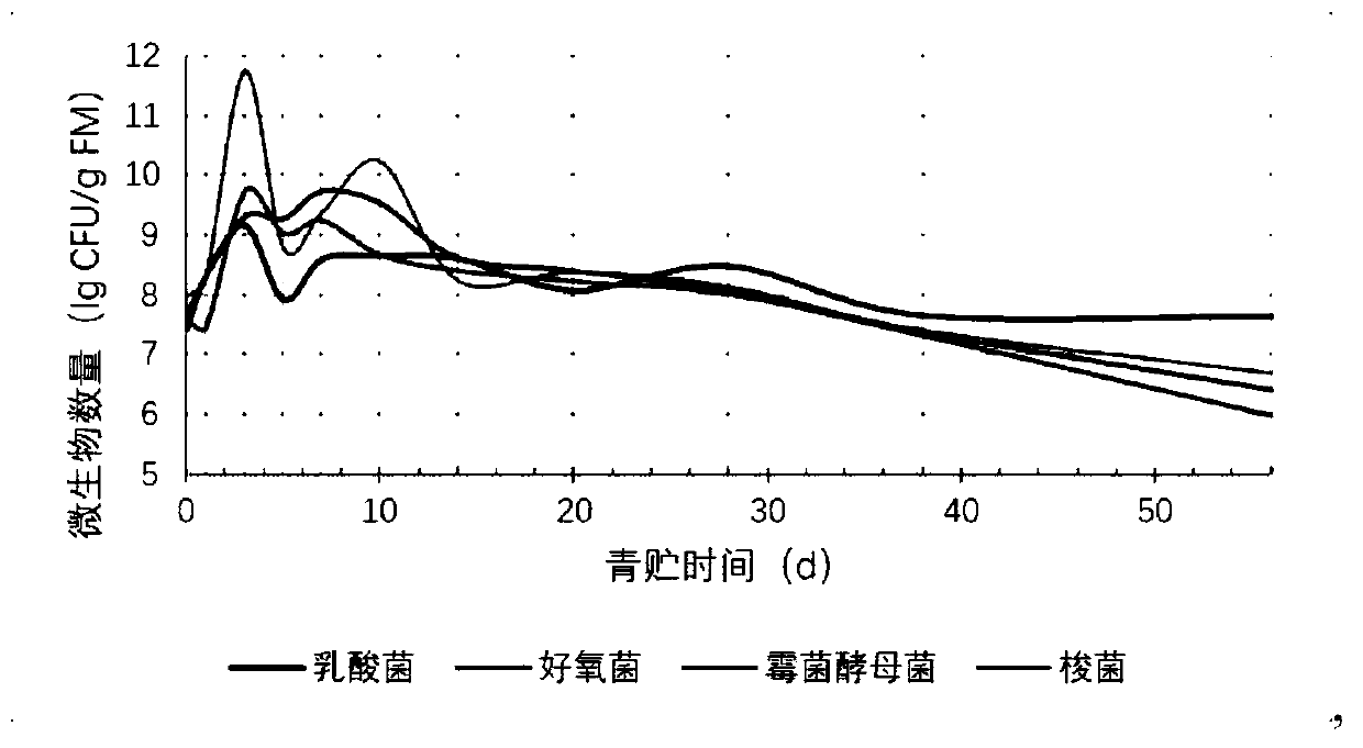 Application of corn flour in improving quality of mulberry twig and leaf silage