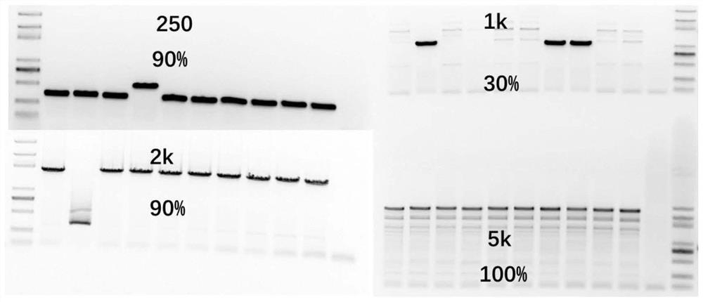 One-step method BbsI enzyme digestion connection fragment assembly method, assembly kit and application