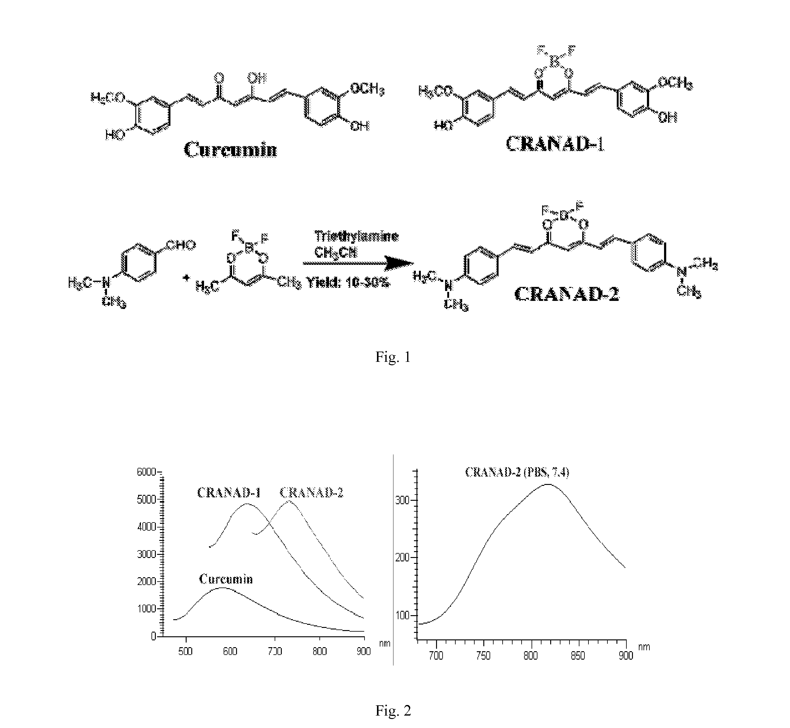 Curcumin derivatives for amyloid-beta plaque imaging